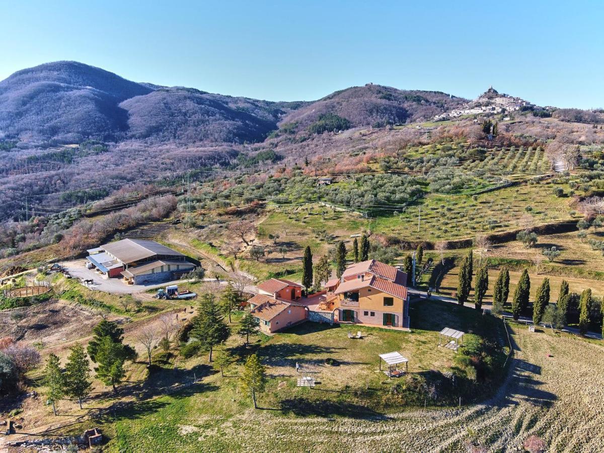 Az.Agr. Il Cavalleggero Campiglia dʼOrcia Exterior foto